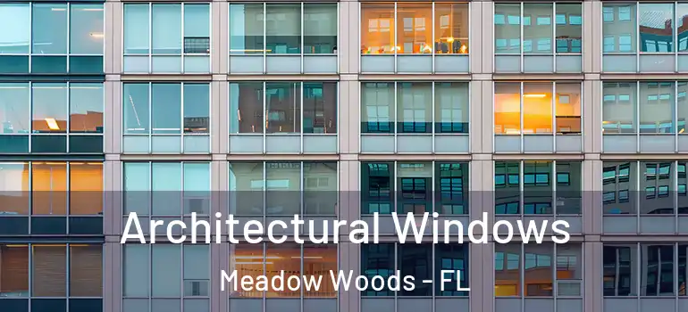 Architectural Windows Meadow Woods - FL