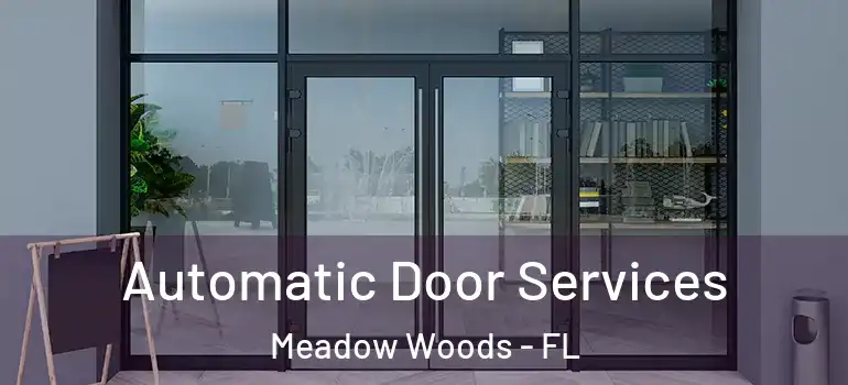 Automatic Door Services Meadow Woods - FL