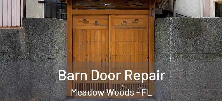 Barn Door Repair Meadow Woods - FL