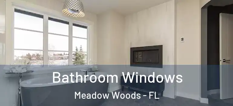 Bathroom Windows Meadow Woods - FL