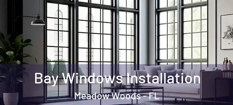 Bay Windows Installation Meadow Woods - FL