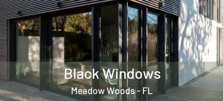 Black Windows Meadow Woods - FL