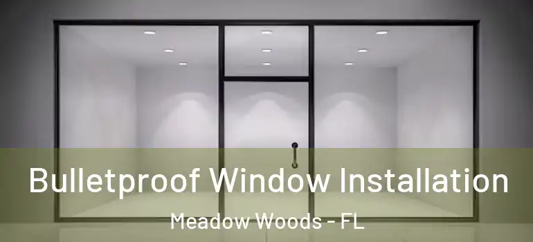 Bulletproof Window Installation Meadow Woods - FL