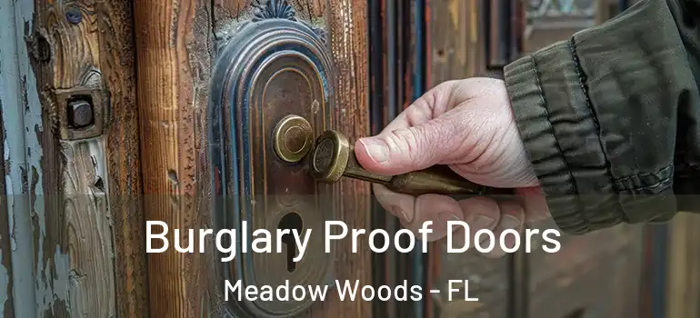 Burglary Proof Doors Meadow Woods - FL