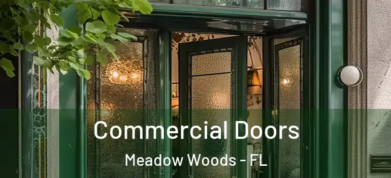 Commercial Doors Meadow Woods - FL