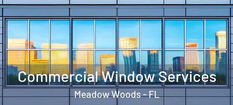 Commercial Window Services Meadow Woods - FL
