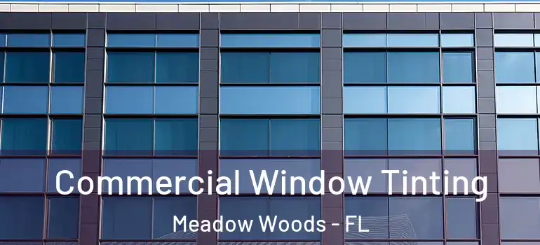 Commercial Window Tinting Meadow Woods - FL