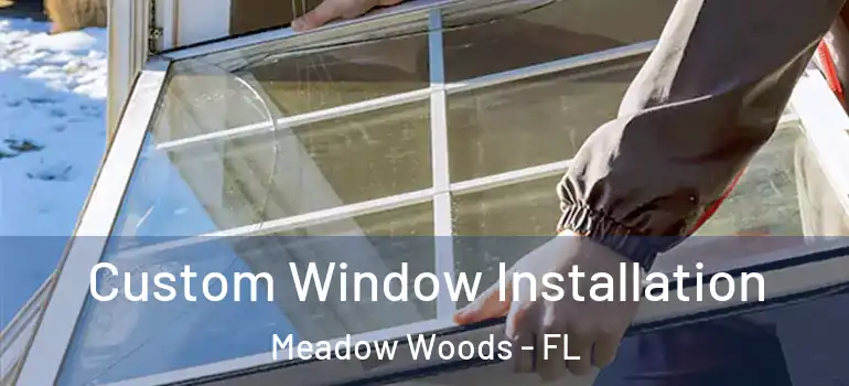 Custom Window Installation Meadow Woods - FL