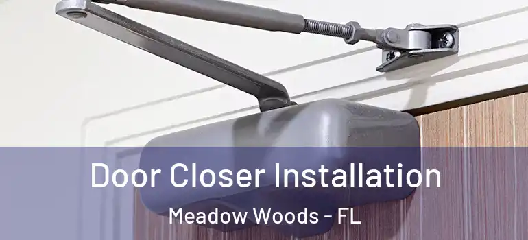 Door Closer Installation Meadow Woods - FL