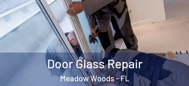 Door Glass Repair Meadow Woods - FL