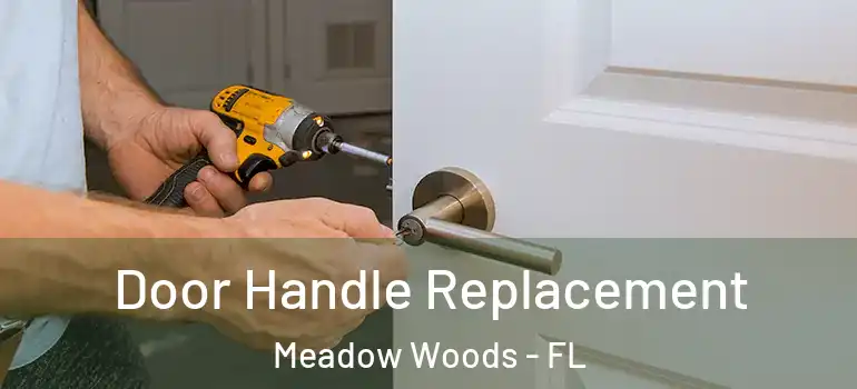 Door Handle Replacement Meadow Woods - FL