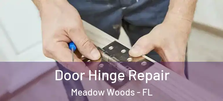 Door Hinge Repair Meadow Woods - FL