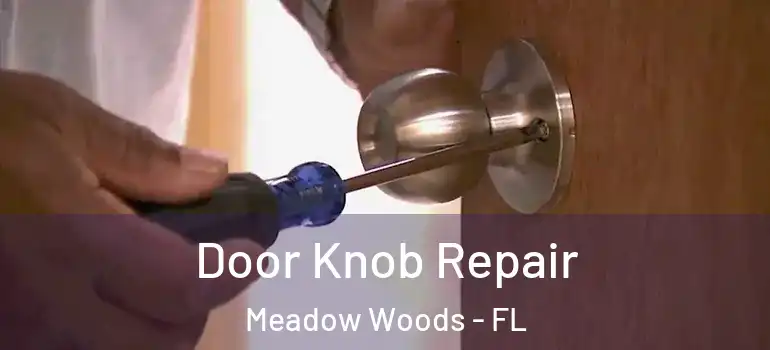 Door Knob Repair Meadow Woods - FL