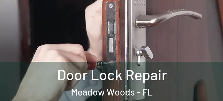 Door Lock Repair Meadow Woods - FL