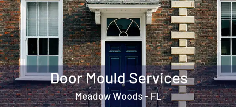 Door Mould Services Meadow Woods - FL