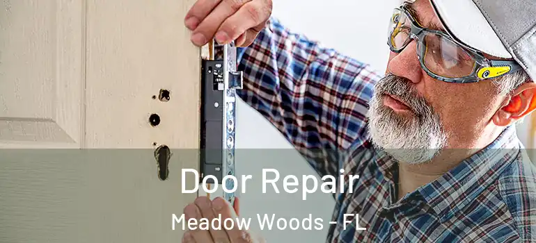 Door Repair Meadow Woods - FL