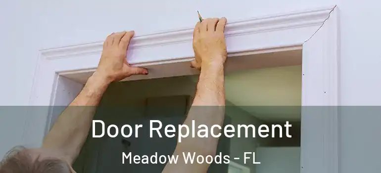 Door Replacement Meadow Woods - FL