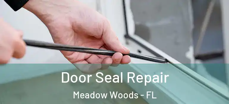Door Seal Repair Meadow Woods - FL