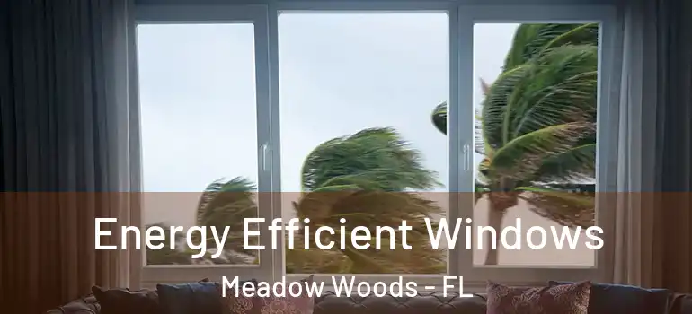 Energy Efficient Windows Meadow Woods - FL