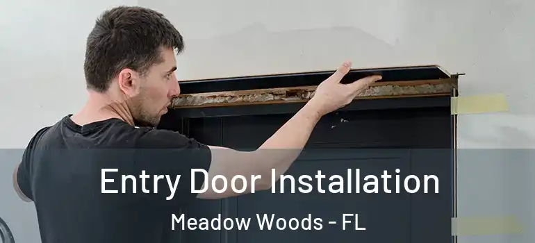 Entry Door Installation Meadow Woods - FL