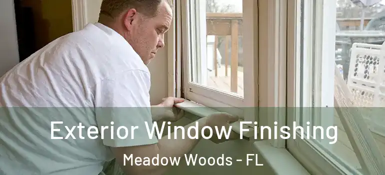Exterior Window Finishing Meadow Woods - FL