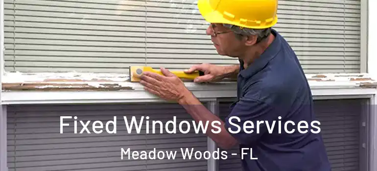 Fixed Windows Services Meadow Woods - FL