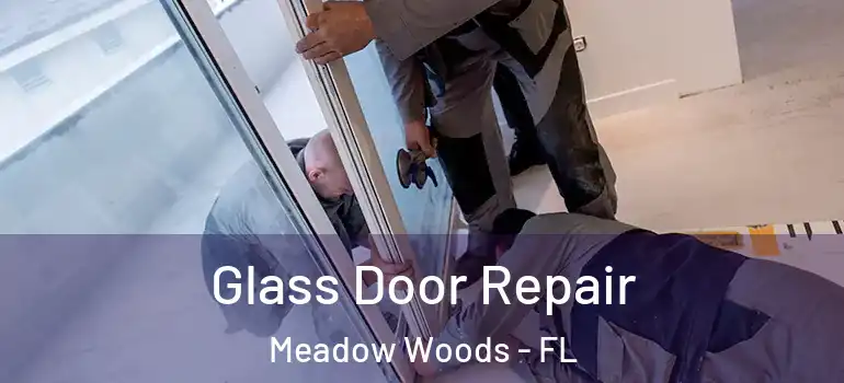 Glass Door Repair Meadow Woods - FL