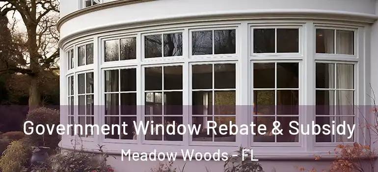 Government Window Rebate & Subsidy Meadow Woods - FL