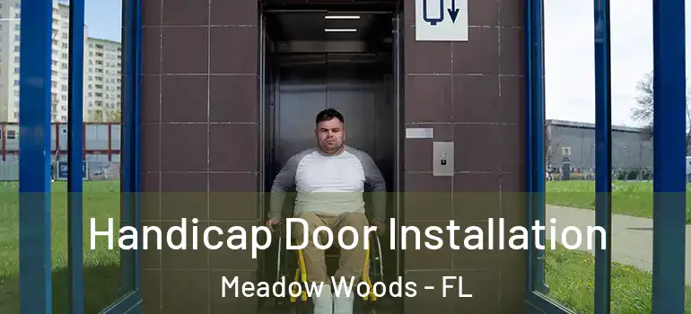 Handicap Door Installation Meadow Woods - FL