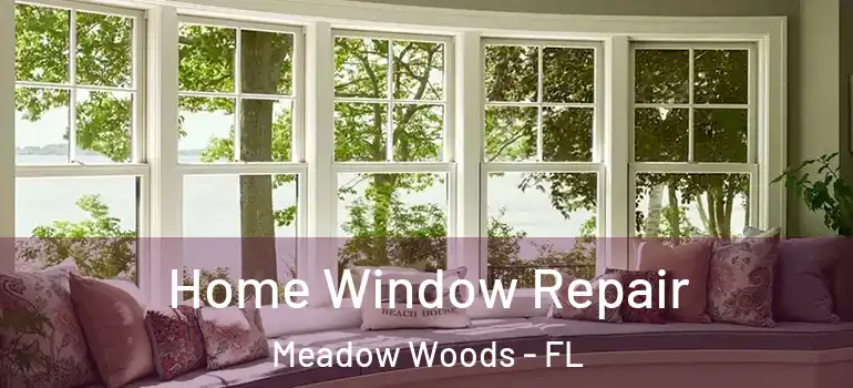 Home Window Repair Meadow Woods - FL
