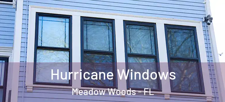 Hurricane Windows Meadow Woods - FL