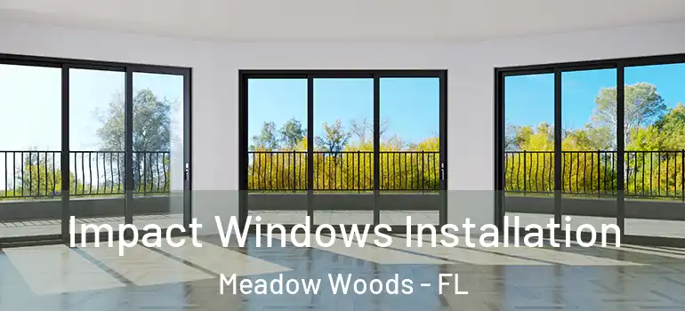 Impact Windows Installation Meadow Woods - FL