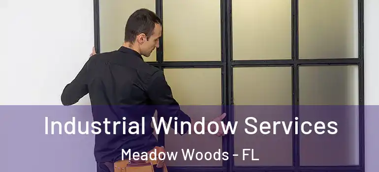 Industrial Window Services Meadow Woods - FL
