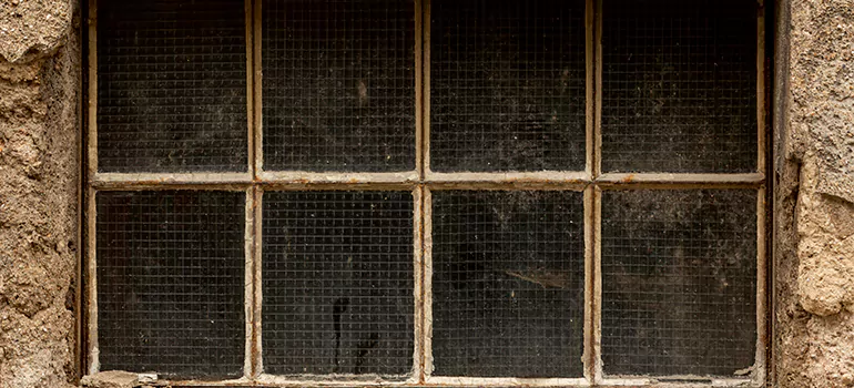 Traditional Double Front Doors in Meadow Woods, FL