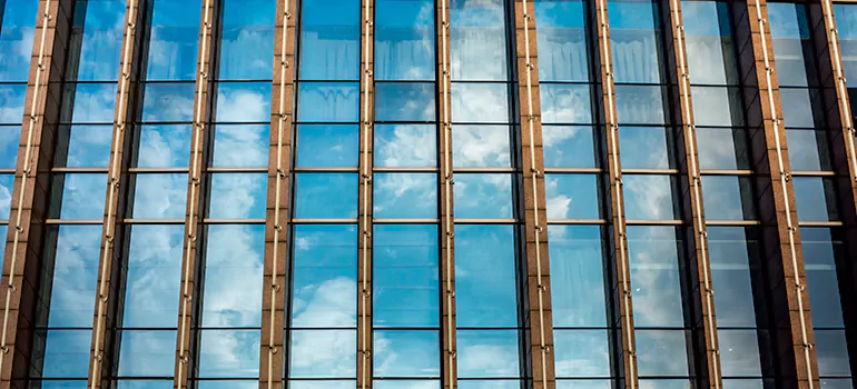 Professional Window Tinting Services in Meadow Woods, FL