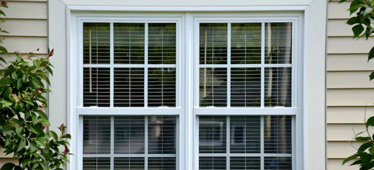 Custom Double Hung Windows in Meadow Woods, FL