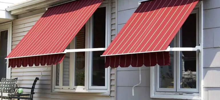 Government Rebate Window Replacement in Meadow Woods, FL