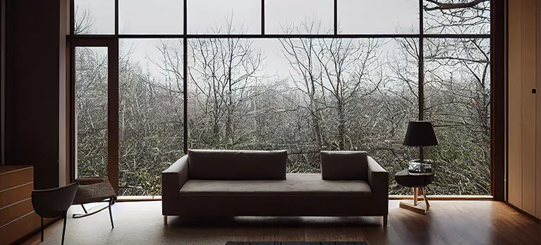 Casement Picture Window in Meadow Woods, FL