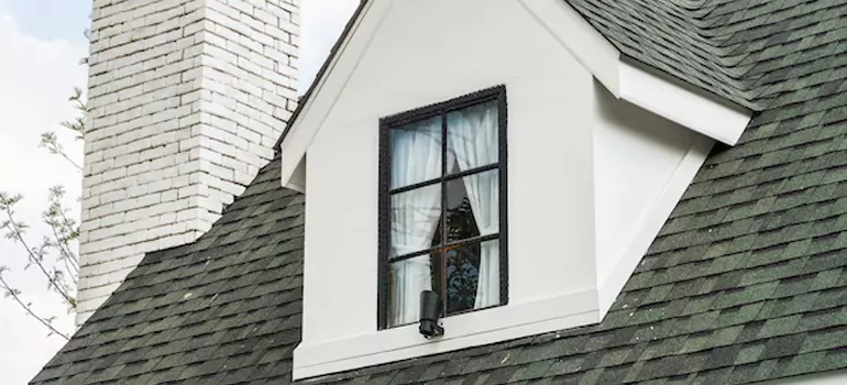 Roof Window Repair in Meadow Woods, FL