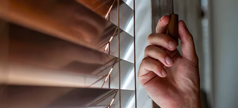 Double Roller Blinds in Meadow Woods, FL