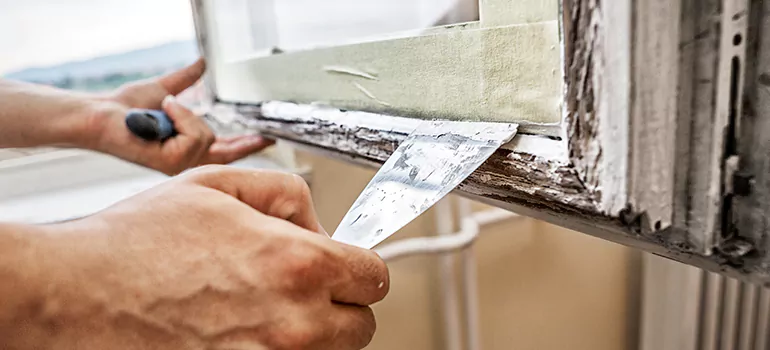 Exterior Window Frame Repair in Meadow Woods, FL