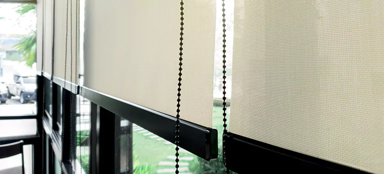 Blackout Window Shades in Meadow Woods, FL