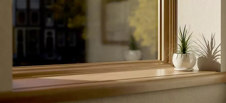 Exterior Window Stool inMeadow Woods, FL