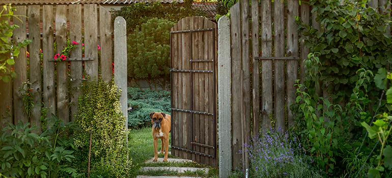 Winter Garden Garage Door Repair in Meadow Woods,[location field=state]