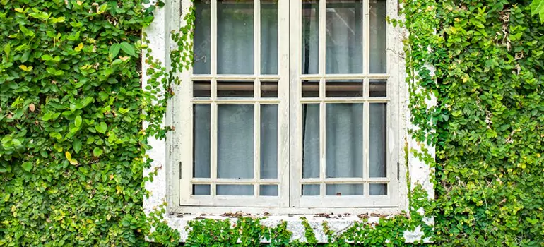 Garden Window Repair Near Me in Meadow Woods, FL