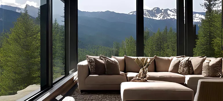 Picture Window Maintenance in Meadow Woods, FL