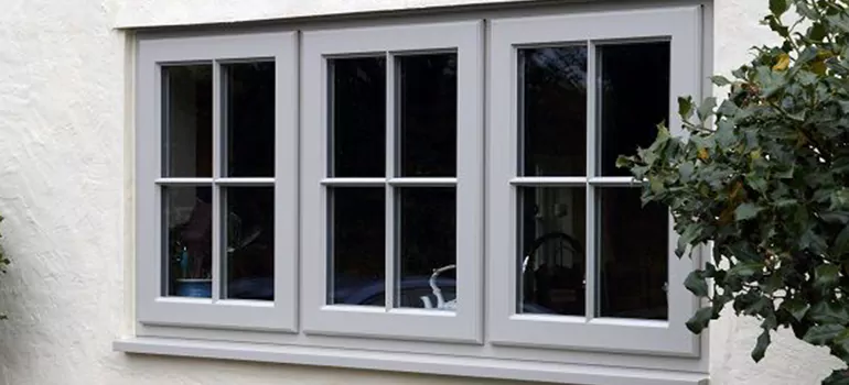 Stormproof Windows With Tinted Glass Services in Meadow Woods, FL