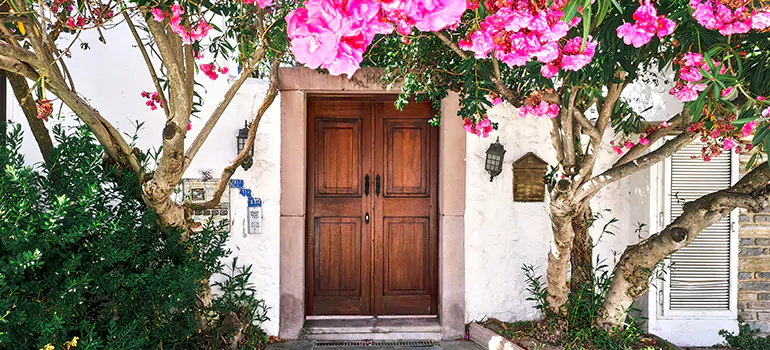 Traditional 4 Panel Internal Doors in Meadow Woods, FL