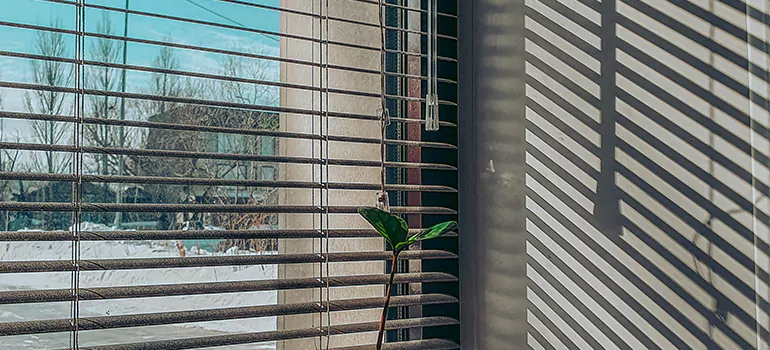 Commercial Window Blinds in Meadow Woods, FL