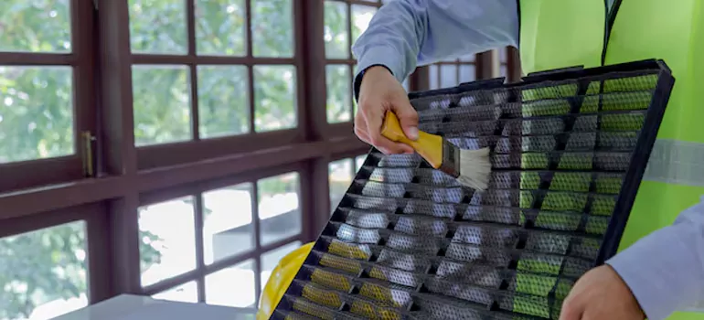 Traditional Window Grille Installation Options in Meadow Woods, FL